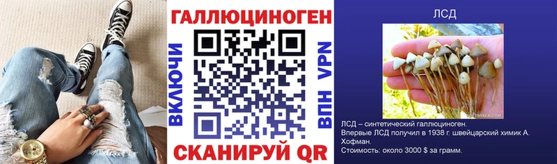 Купить  Спасск-Дальний  Галлюциногенные грибы GOLDEN TEACHER 